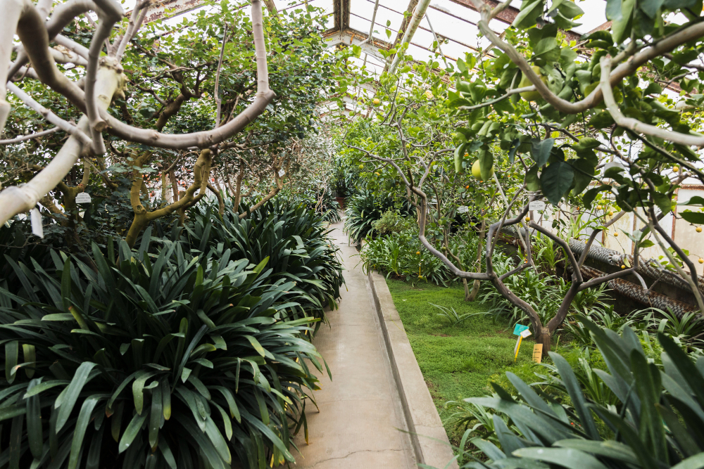 Grama sintética para jardim de inverno: qual comprar