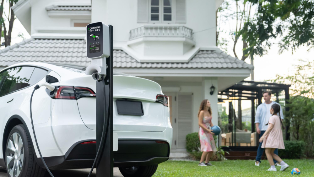 Grama sintética para garagem: qual modelo dura mais?