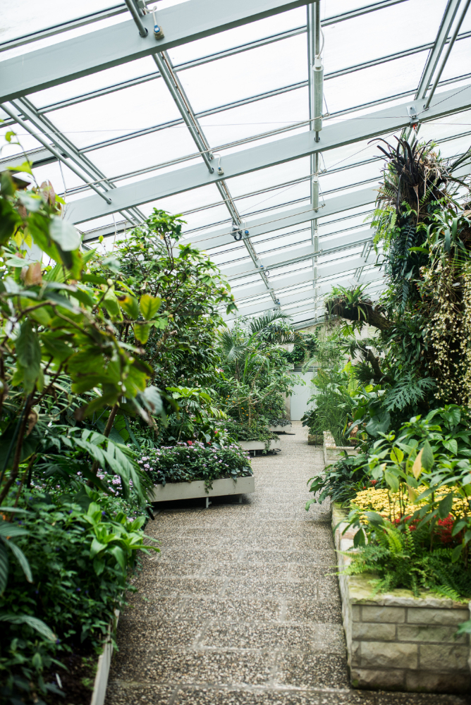Grama sintética para jardim de inverno: qual comprar